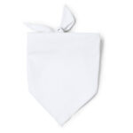 JARANA 1734
